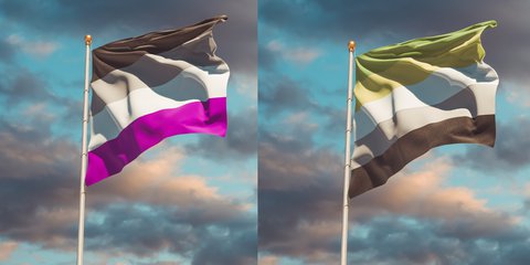 Asexualität, Aromantik Was bedeuten asexuell und aromantisch