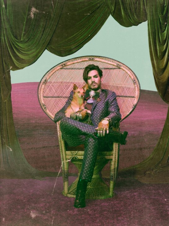 Adam Lambert: „Lasst uns eine Lesbe ins Weiße Haus wählen!“