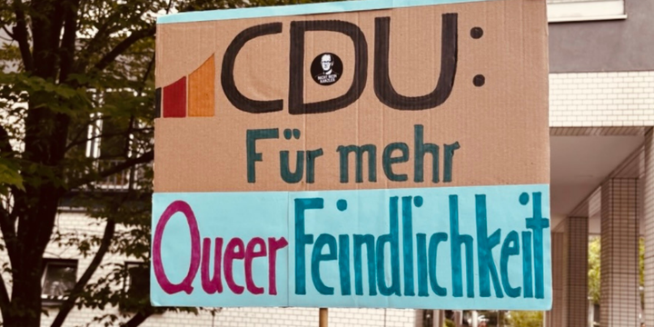 csd-cdu-lsu-kritik-demo-c-privat