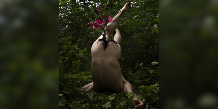 hole-story-c-mila-starosta