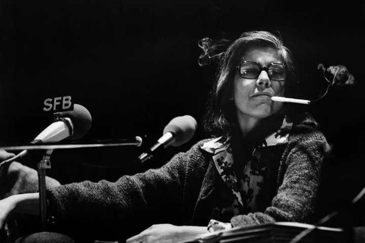 Susan Sonntag, c Renate von Mangoldt